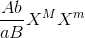\frac{Ab}{aB}X^{M}X^{m}
