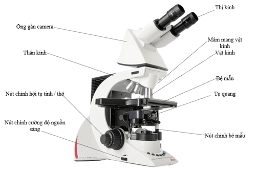 kính hiển vi