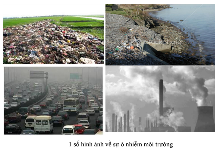 ô nhiễm môi trường