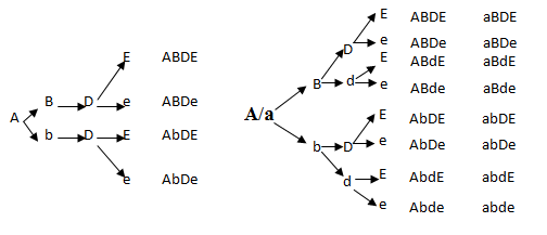 Xác định các loại giao tử của có kiểu gen AABbDDEe và AaBbDdEe