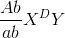 frac{Ab}{ab}X^{D}Y