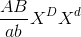 frac{AB}{ab}X^{D}X^{d}